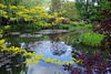 Water-Lily Pond  ~ Monet's Flower Garden  ~ Giverny ~ MjYj