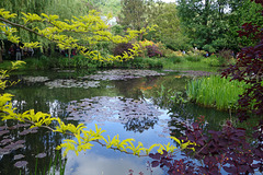 Water-Lily Pond  ~ Monet's Flower Garden  ~ Giverny ~ MjYj