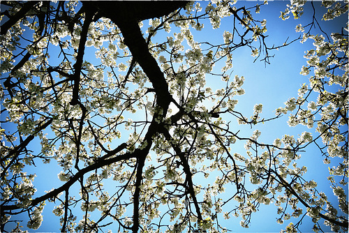 endlich Frühling