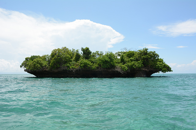 Zanzibar, Not an Inhabited Island (Kwale Island)