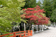 Cimetière Okuno-in de Koyasan (3)