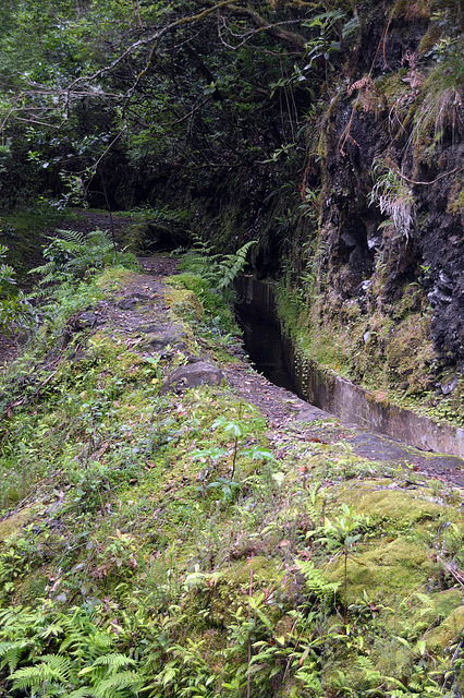 Am Berg entlang