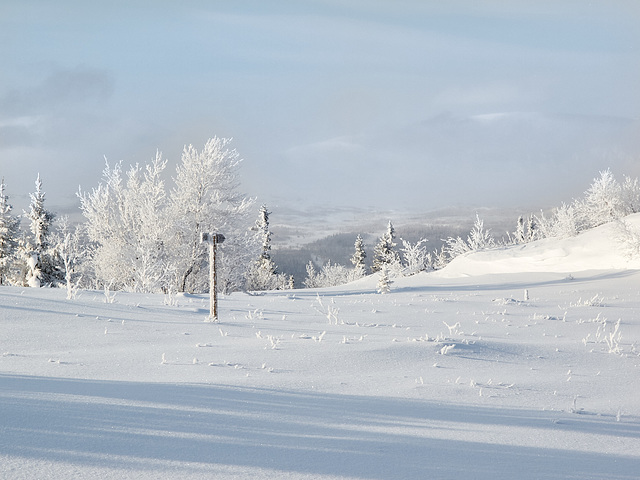 Wegweiser im Schnee