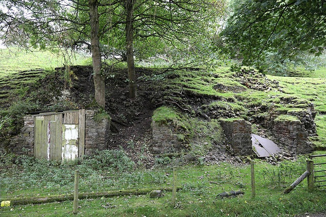 Bushy Flat kilns