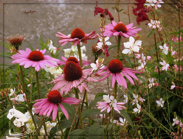 Belle fin de soirée et bonne semaine mes ami(e)s❤️