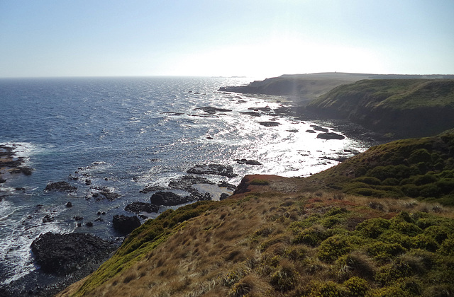 glorious day on Phillip Island