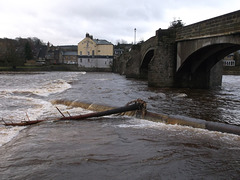 wst / des - Haydon Bridge 2 of 6