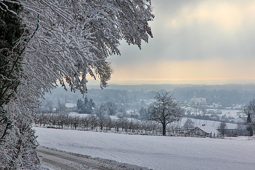 Winter in Oberschwaben  (PIP + note)
