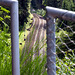 A gap in the fence
