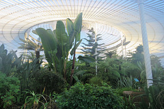 botanic gardens, glasgow