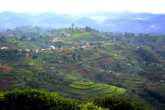 Rural Landscape of SouthWestern Uganda