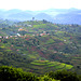 Rural Landscape of SouthWestern Uganda