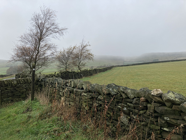 Low clouds clearing