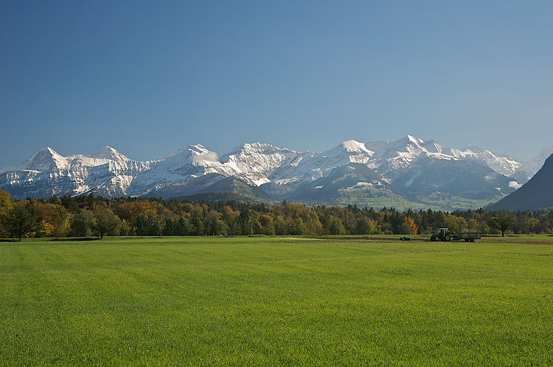 Les Alpes Bernoises