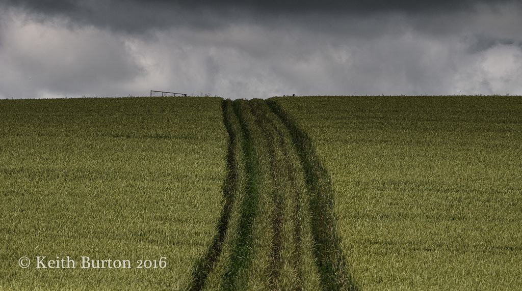 Tracks to the Top