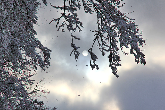 Blick zum Himmel + zur Sonne