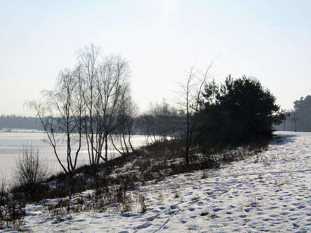 Am Steinberger See