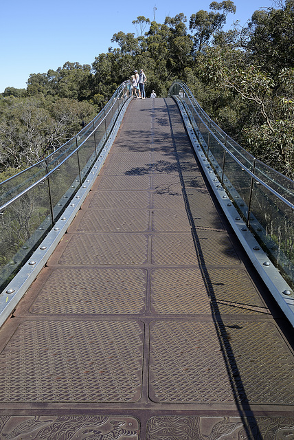 Tree Top Walk - HFF