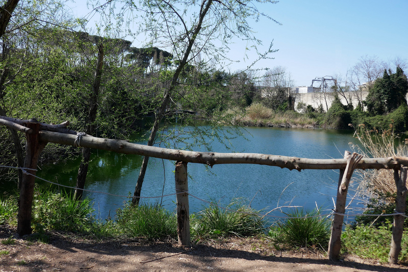 IL LAGO CHE COMBATTE