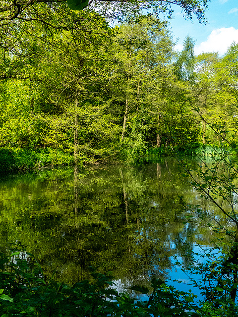 Burton Mere