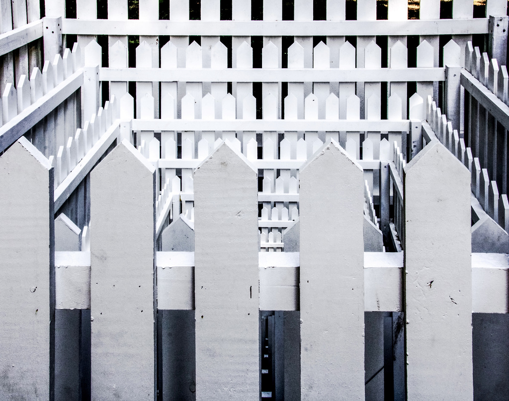 A Fence for Friday