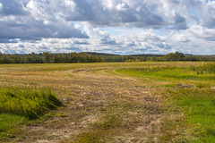 A Road to the Harvest.