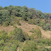 Grafenberg Grafenberg
