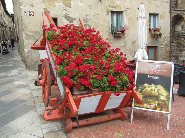 Colle di Val d' Elsa