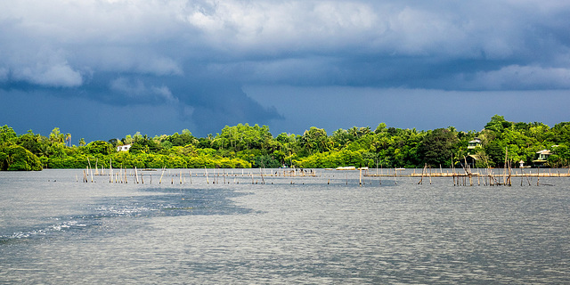 Madu river safari at Balapitiya, Sri Lanka