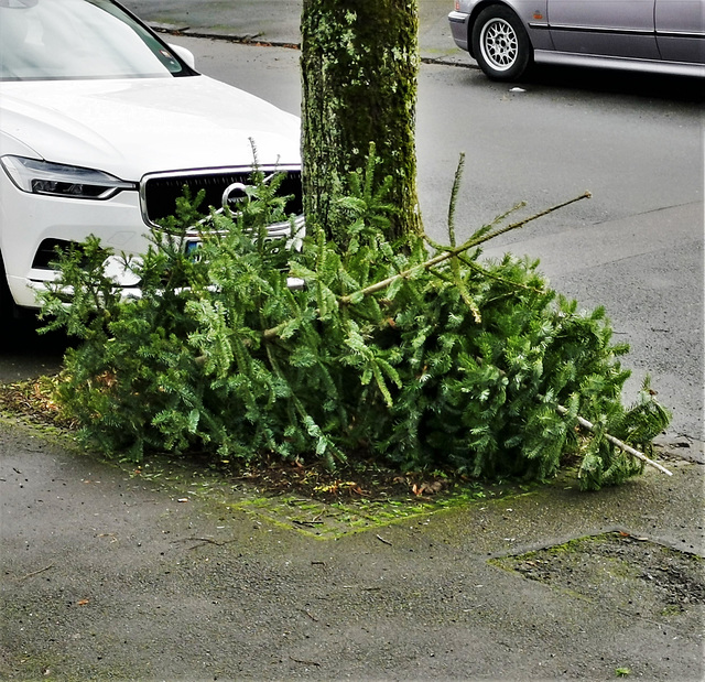 Nun steht die Krippe ohne Christbaum da...