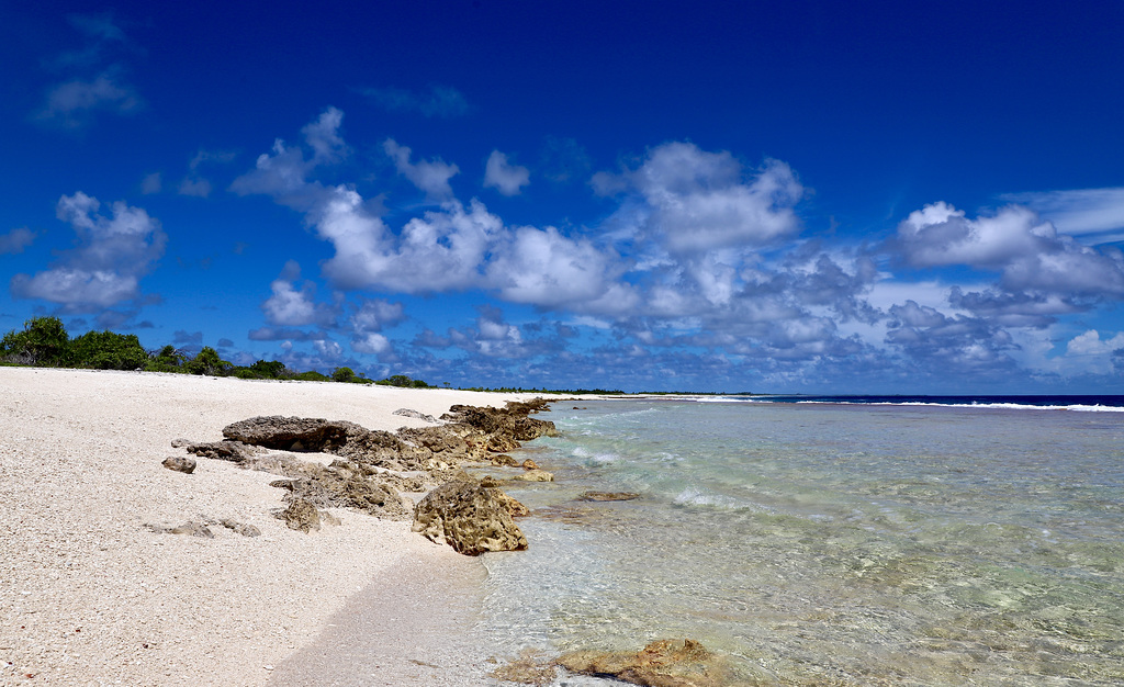 La plage des tortues pip