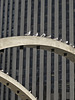 Nathan Phillips Square, Toronto