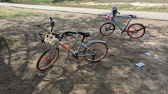 Nos deux petits vélos / Our small bikes