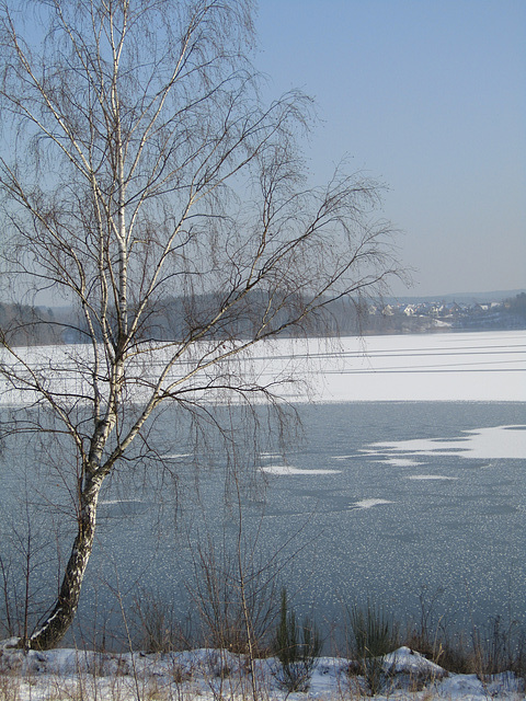 Blick über Steinberger See