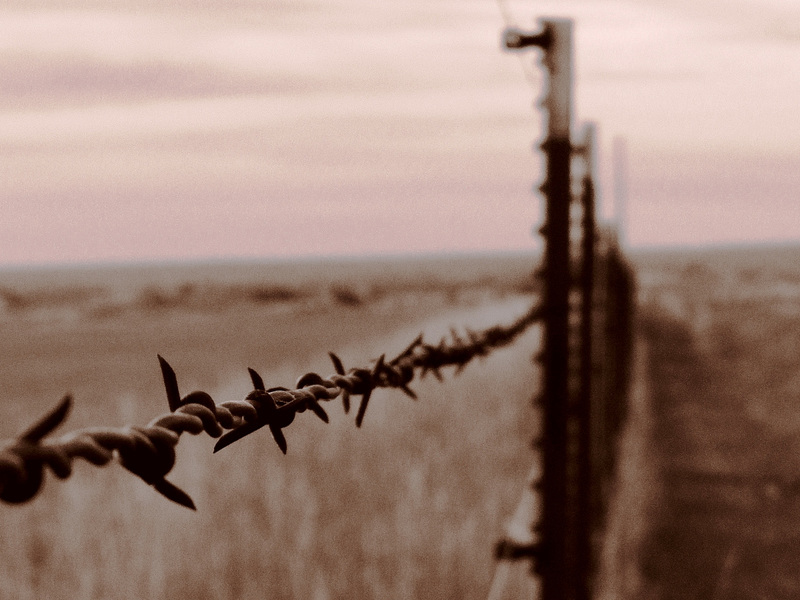 #63 - mg1744 - Fence That Won the West - 27̊ 2points