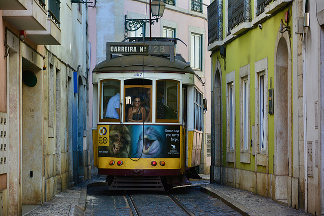 Lisbon 2018 – Trams in the Escolas Gerais