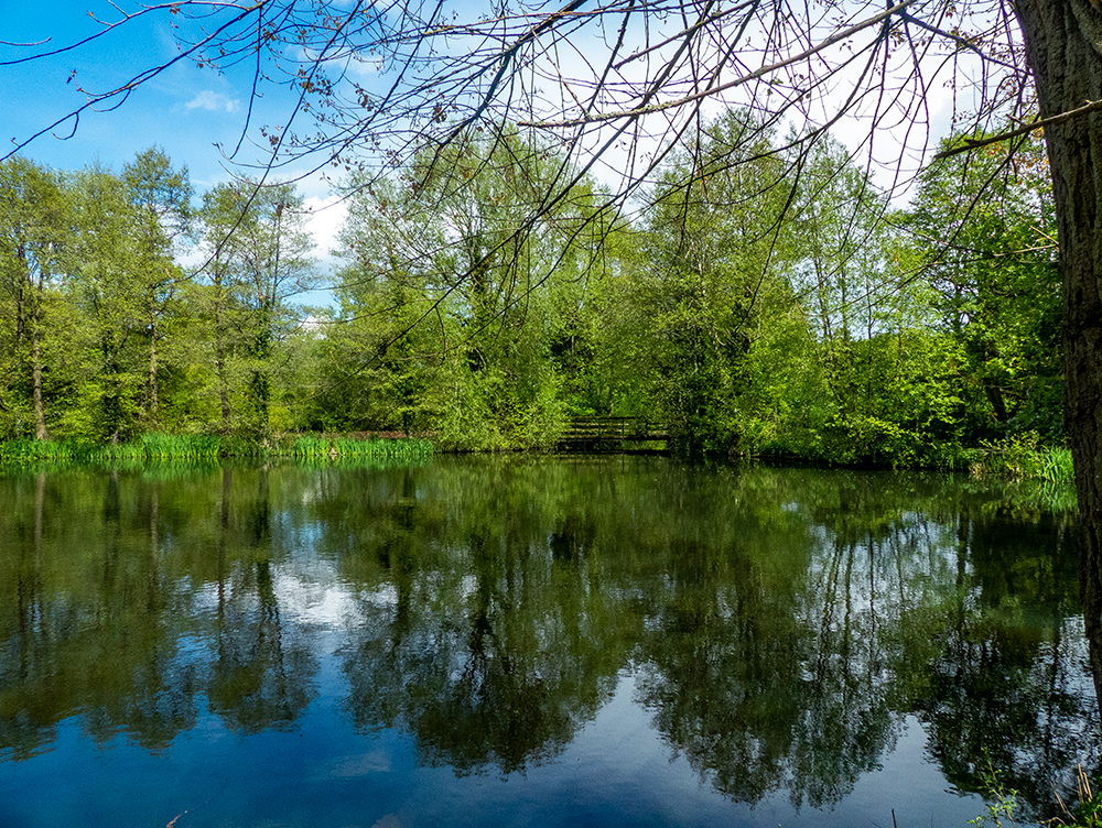 Burton Mere