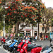 Funchal (04) - Am "Praça do Município" (02)