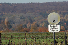 Durchfahrt verboten