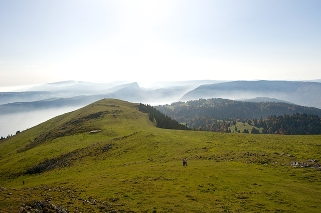 Vue depuis le Suchet. Au fond la Dent de Vaulion