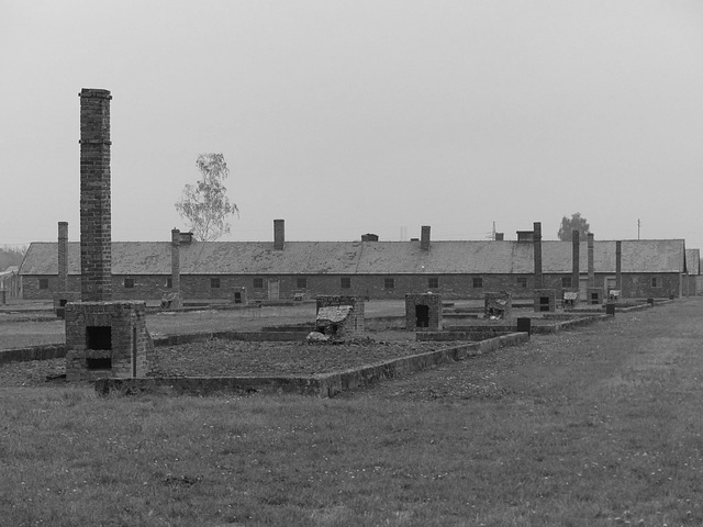 Auschwitz (44) - 19 September 2015