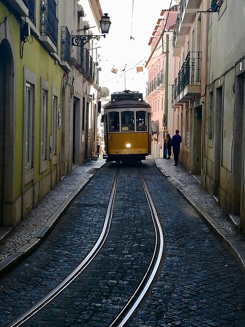 Lisbon 2018 – Trams in the Escolas Gerais