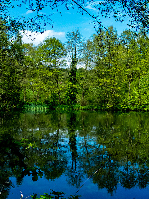 Burton Mere