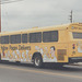 Transit Cape Breton 512 - 8 Sept 1992 (174-35)