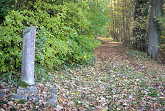 ¨Parc du Château de Grignon