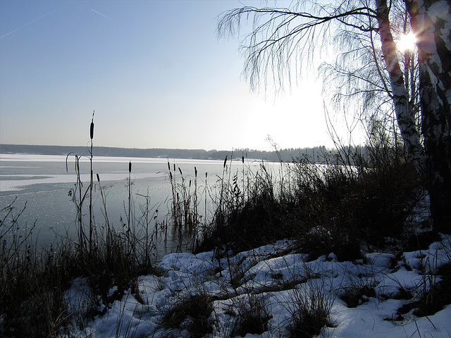 Winterspaziergang am Steinberger See