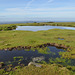 Dartmoor National Park Landscape