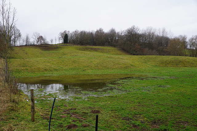 Wiese im Karstgebiet