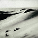 Sahara