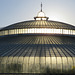 botanic gardens, glasgow